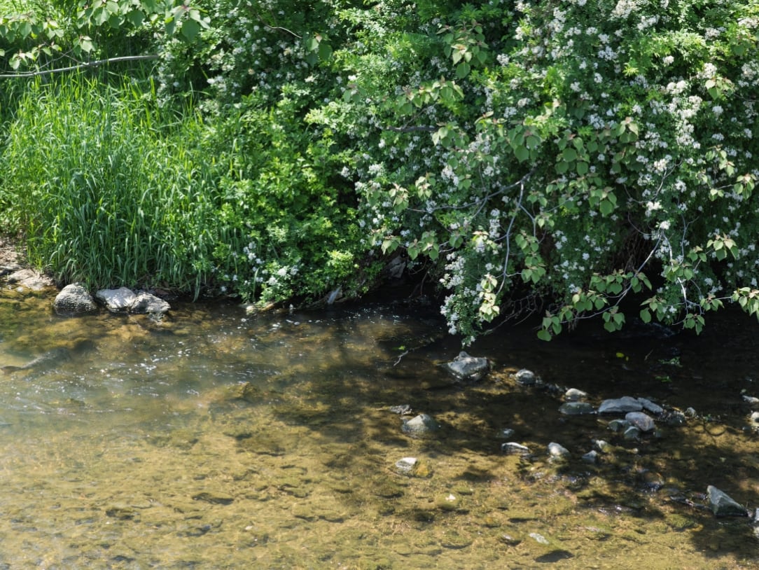 仁川国際霊園の自然イメージ